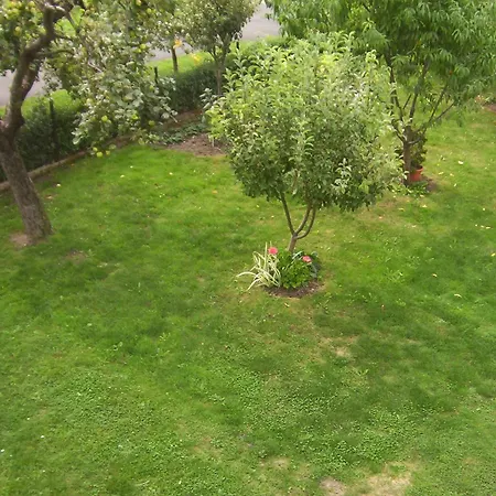 In Balatonmariafuerdo 19567 *