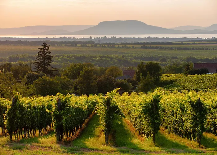 In Balatonmariafuerdo 19567 Balatonkeresztúr